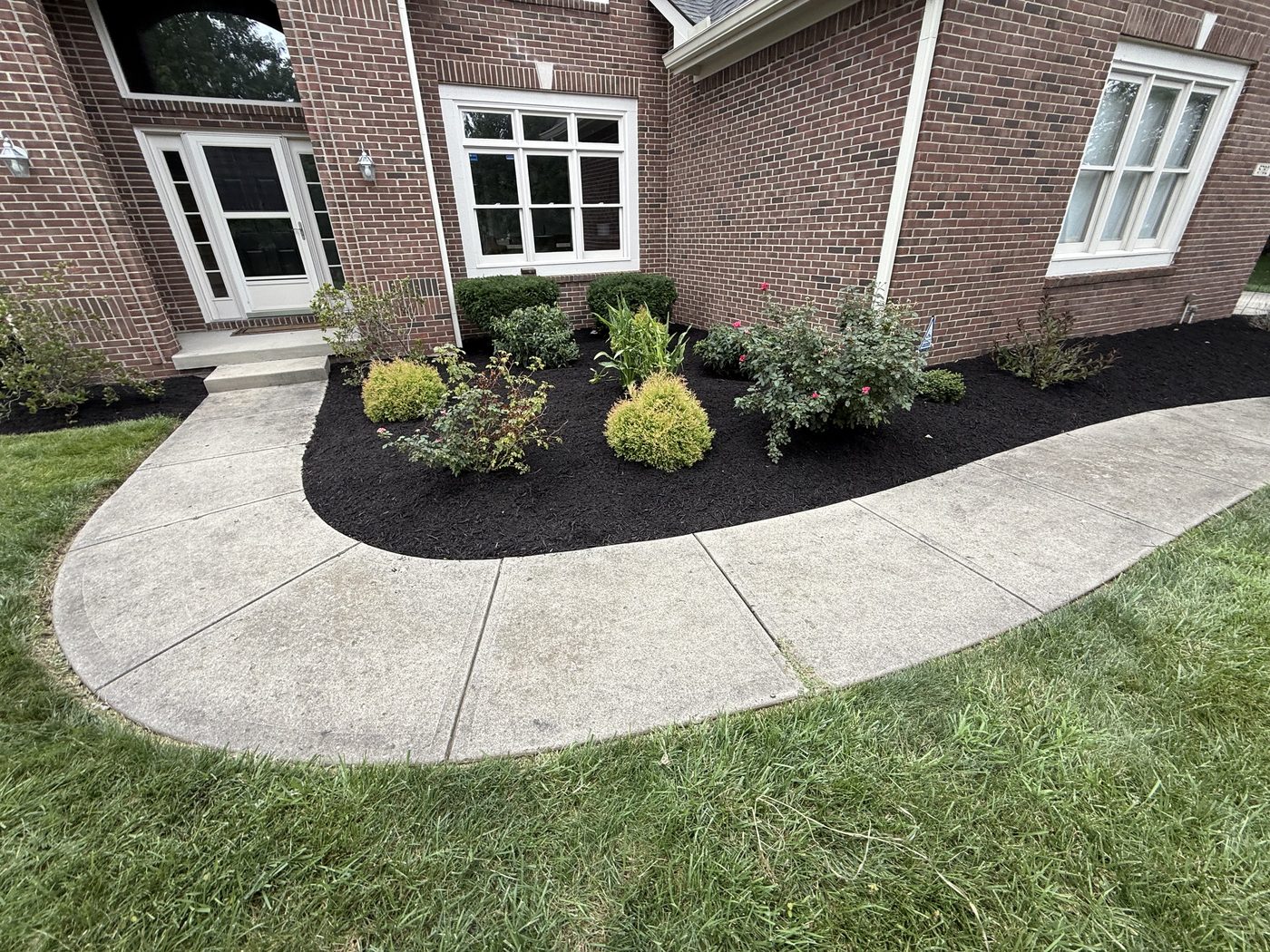 Fresh black mulch bed with shrubs and roses