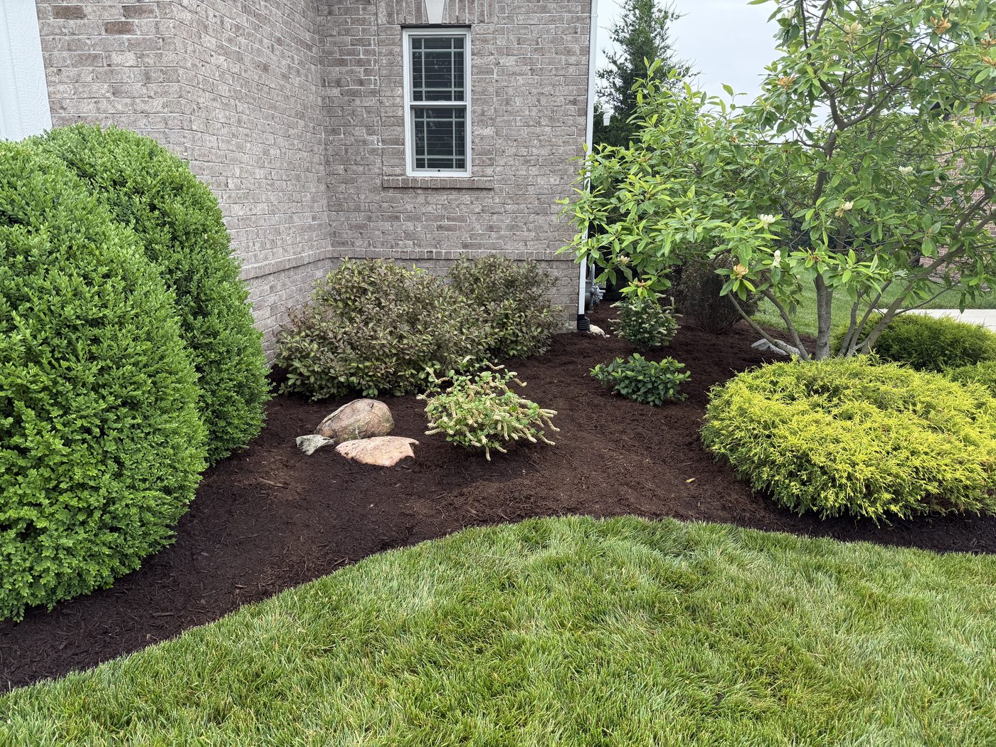 Foundation planting bed with boulders and mulch