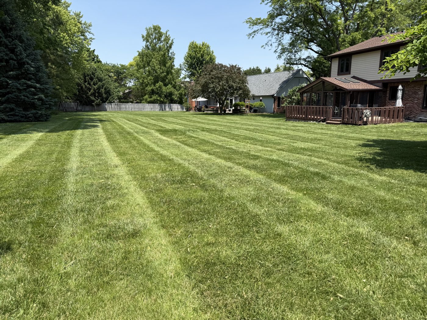 Backyard lawn with clean mowing stripes