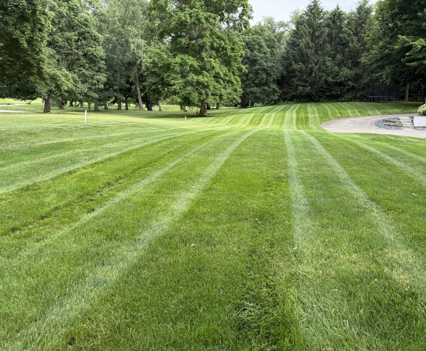 Striped lawn along the driveway