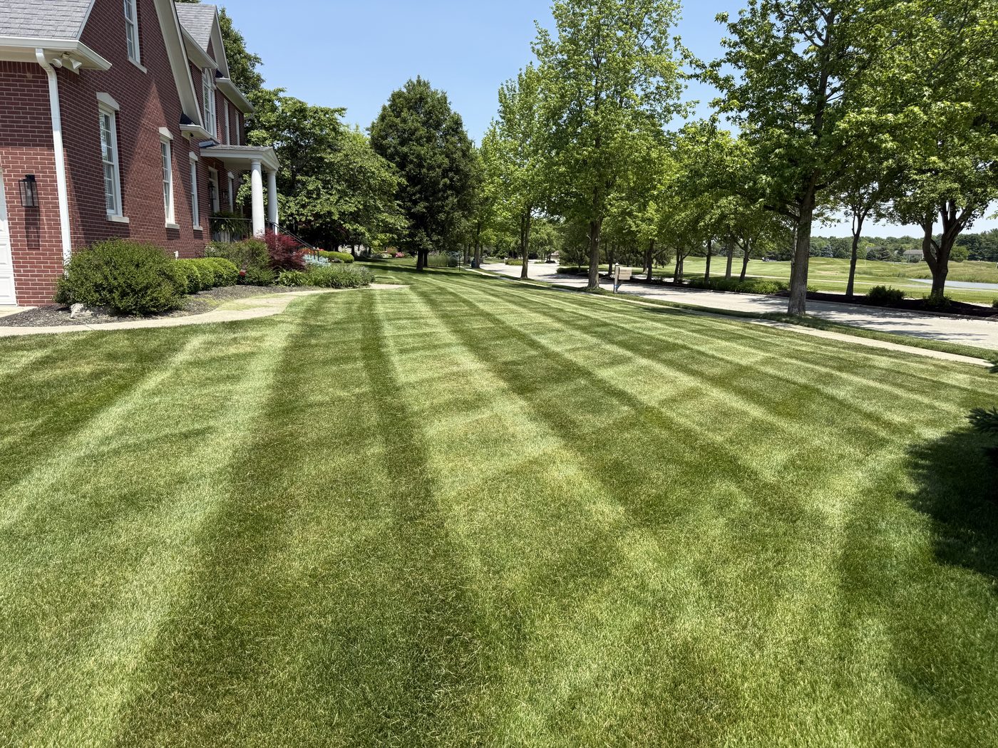 Freshly striped front lawn by Romine Outdoors