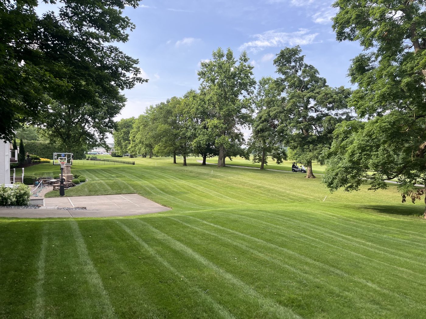 Striped mowing on a sloped lawn